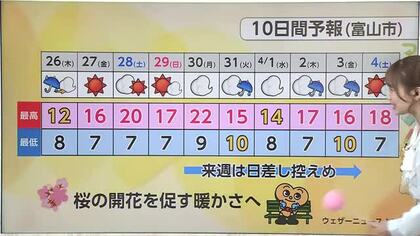 「催花雨」が明けたら最高気温20度　富山、週末は上着いらずの春本番へ