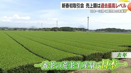 「お茶もまだまだ伸びていける」鹿児島茶の勢い止まらず！　新春初取引会で平均単価が前年の2倍以上、売上額4倍の2000万円超えを記録