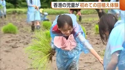香港の児童が“田植え”に挑戦！スタディツーリズムに力入れる新潟・新発田市「体験通じて世界に売り込みたい」