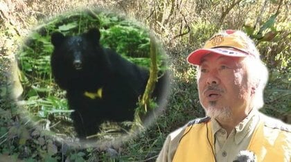 クマに睨まれ猟師も退散　ワナに掛かったシカが食われ近くにクマがいた！ 小学校周辺でも目撃【静岡発】