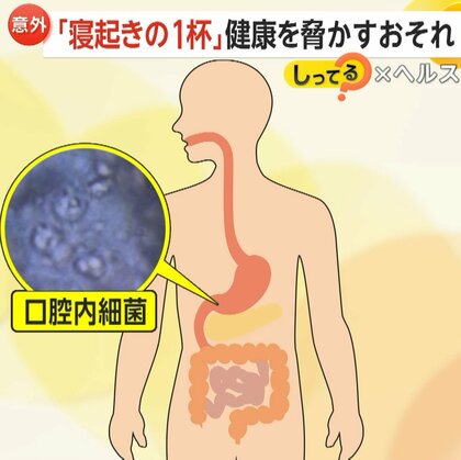 【解説】寝起き時は口に“便の10倍”の細菌が…就寝中に爆発的増加で「寝起きの1杯」が危険！？糖尿病や心筋梗塞などのリスク…対策は「は・み・が・き」