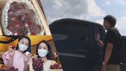 【独自】今度は140万円の高級ブドウ「ルビーロマン」が標的に…また韓国にパクられた日本ブランド