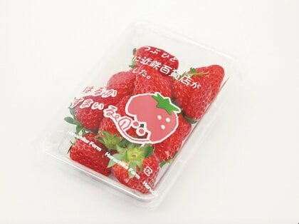 生産から販売までをデパートが？自社農場で手掛けた“イチゴ”が好評…他の果物の栽培予定を近鉄百貨店に聞いた