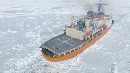 ついに今週! 南極上陸へ　ペンギンやアザラシの姿も