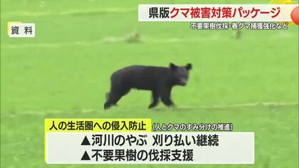 山形県版「クマ被害対策パッケージ」不要果樹伐採支援・春グマ捕獲強化など　山形