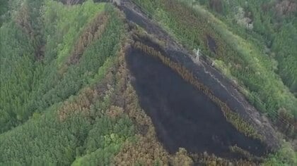 岩手・大槌町山林火災 「樹冠火」で延焼拡大か　林野庁が調査結果公表