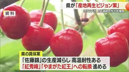 日本一のサクランボ産地であるために・10年後も収穫量1万トン維持　「産地再生ビジョン案」提示　山形