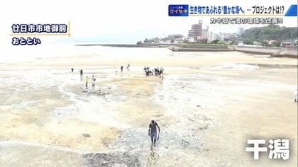 1週間で臭いが消えた」 “カキ殻”が海をよみがえらせる！？ ヘドロ化