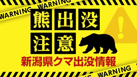 【クマ目撃情報】新潟・長岡市でクマ1頭を目撃　目撃場所の周辺には交通量の多い道路も　小千谷署が警戒活動