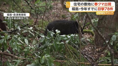 住宅の敷地にクマ出没　2日連続の目撃に住民「大きさはともかくクマは怖い」　福島・会津美里町