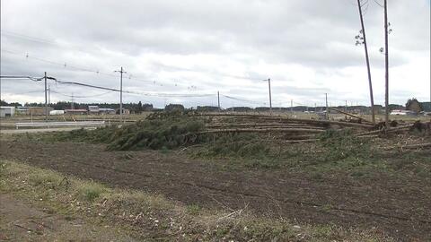 北日本で台風並み暴風　青森・七戸町で倒木相次ぎ一部地域で一時停電が発生　けが人なし