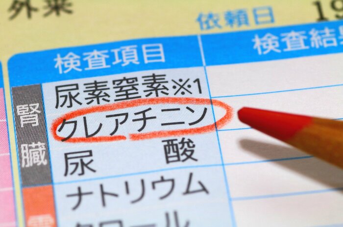 (イメージ)