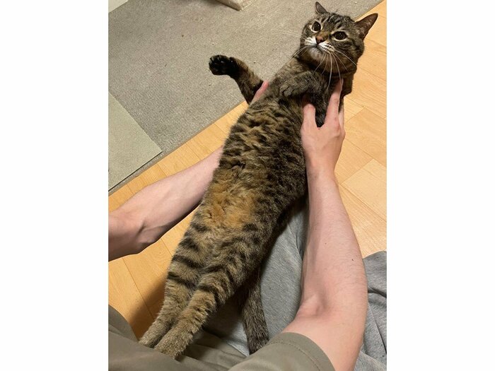 投稿の写真