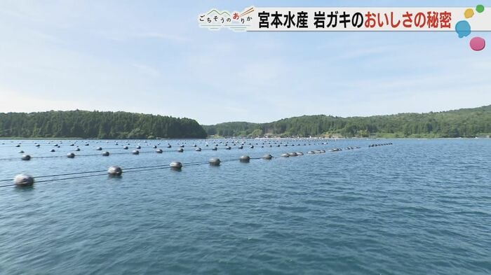 カキ棚の近くに川がない