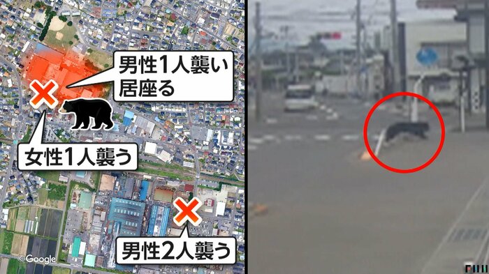 従業員2人を襲ったクマ（福島製鋼株式会社）