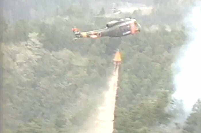 宮城県の県民の森でも、かつて大規模な火災が発生した