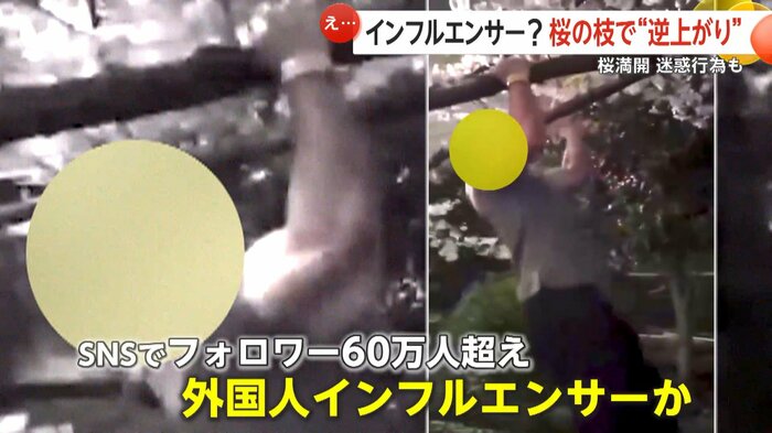 懸垂などしていたのは外国人インフルエンサーか