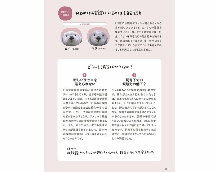 『おいでよ!ラッコ沼への招待状』(世界文化社)より