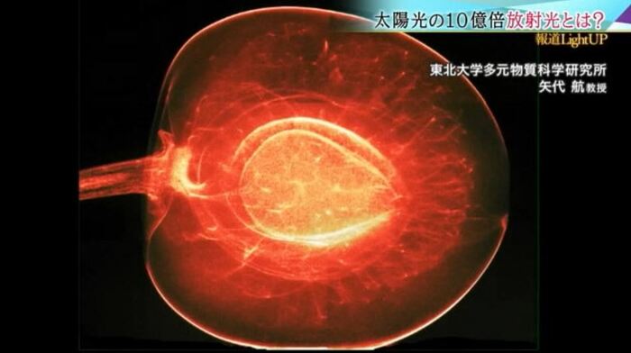 (写真提供:東北大学多元物質科学研究所 矢代 航 教授)