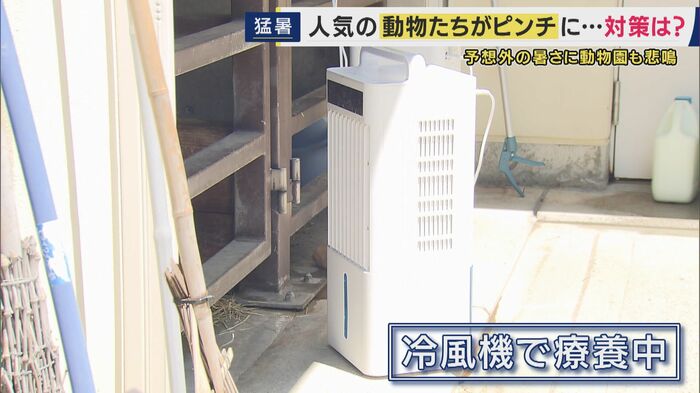 暑さ対策いろいろ