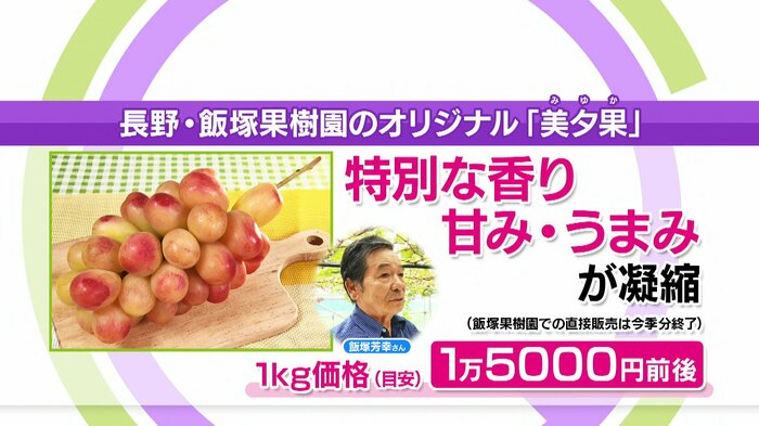 長野・飯塚果樹園のオリジナル「美夕果(みゆか)」1kg価格(目安)1万5000円前後 ※飯塚果樹園での直接販売は今季分終了
