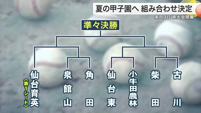 宮城県大会トーナメント表(1)