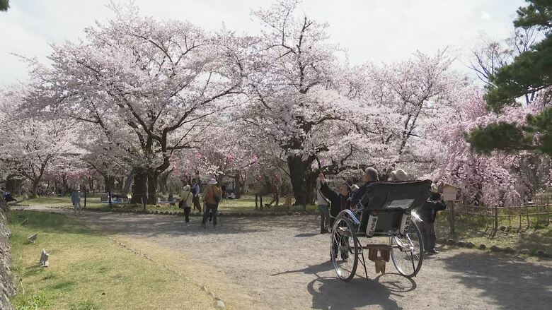 上田で27.6℃　長野県内4地点で「夏日」　小諸市の「懐古園」では桜が満開｜FNNプライムオンライン