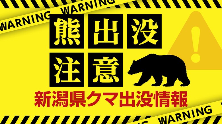 「民家近くでクマ1頭を目撃した」新潟・上越市で体長約1メートルのクマ目撃　警察などが注意呼びかけ｜FNNプライムオンライン