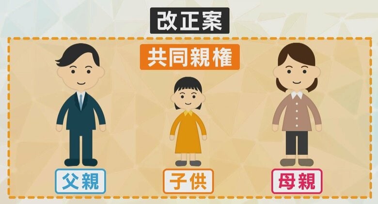 離婚しても2人で養育　『共同親権』認める改正民法が成立　DV加害者への適用など懸念点も｜FNNプライムオンライン