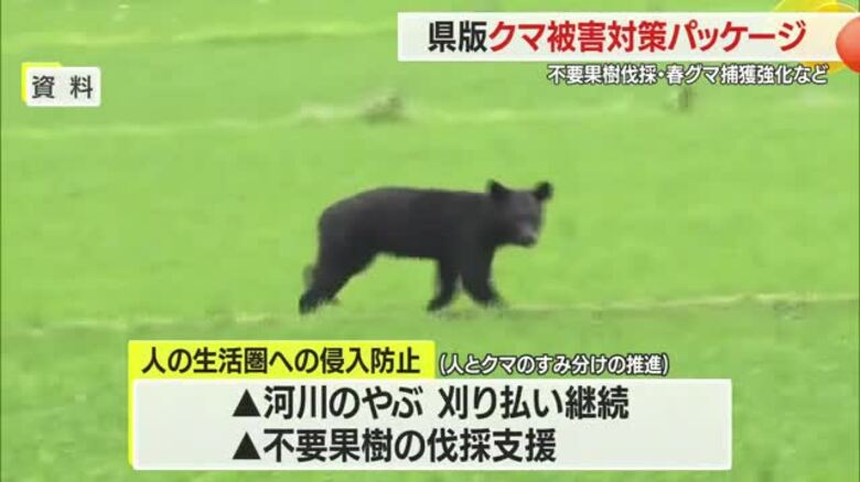 山形県版「クマ被害対策パッケージ」不要果樹伐採支援・春グマ捕獲強化など・山形｜FNNプライムオンライン