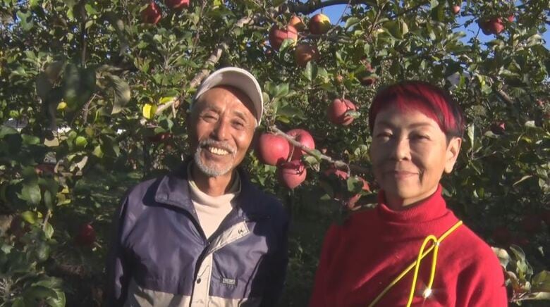 「かめふじこ」に「ふじひびき」　被害リンゴにユニークな名付けで注文増　“大阪のおばちゃん”のアイデア　長野のリンゴ農園｜FNNプライムオンライン