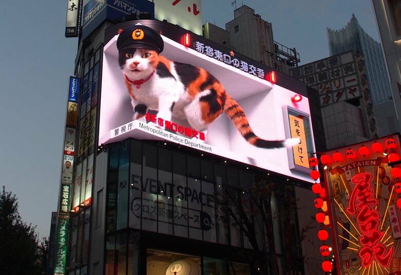 新宿クロスビジョンの3D猫として有名となった「新宿東口の猫」