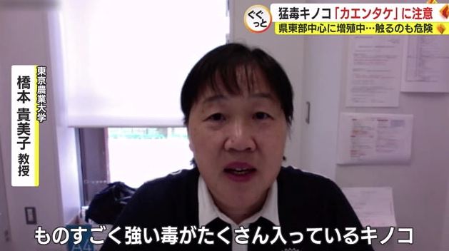 橋本教授「このキノコだけは触るのも控えて」