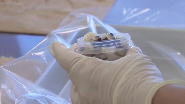 放射性物質の検査　福島県の出荷基準は国の基準の2分の1