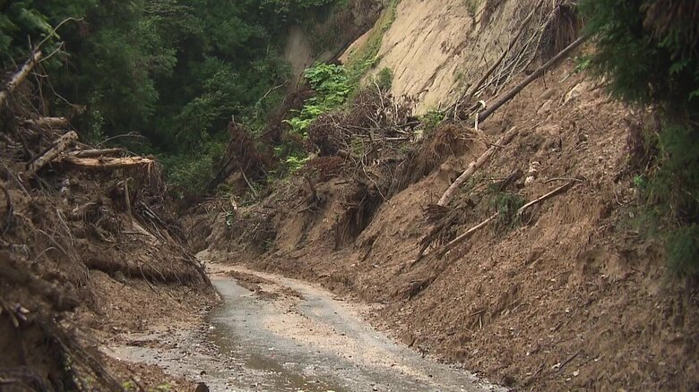 車道沿いには土砂が