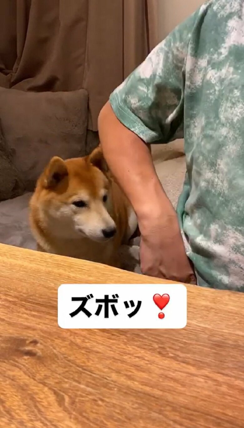 そして「ズボッ」と言うと…