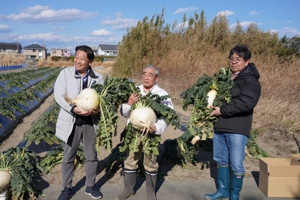 桜島大根の収穫（提供：日鉄エンジニアリング）