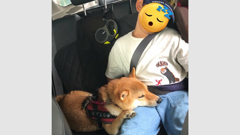 飼い主の息子さんとの一枚