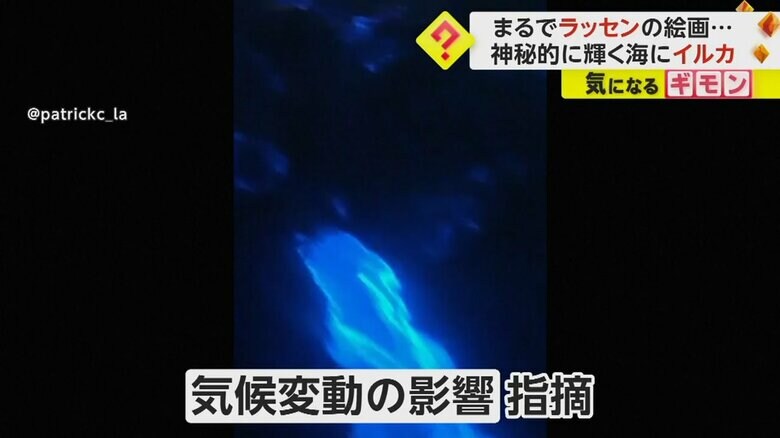 気候変動の影響が指摘されている