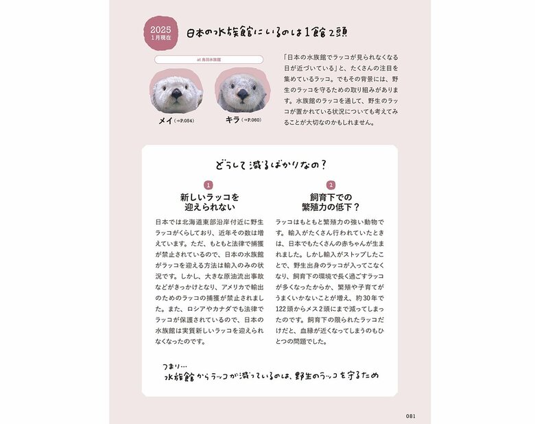 『おいでよ！ラッコ沼への招待状』（世界文化社）より