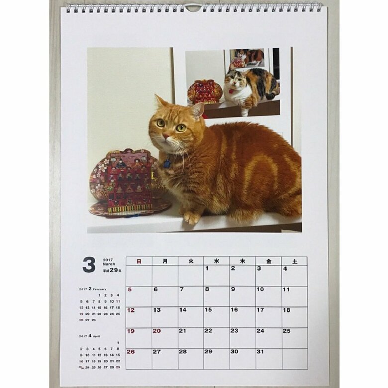 3月の中には、はなちゃんではなく、ももくんの時も…