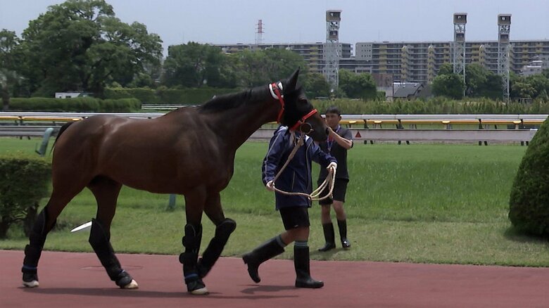 東京競馬場に到着した ロマンチックウォリアー