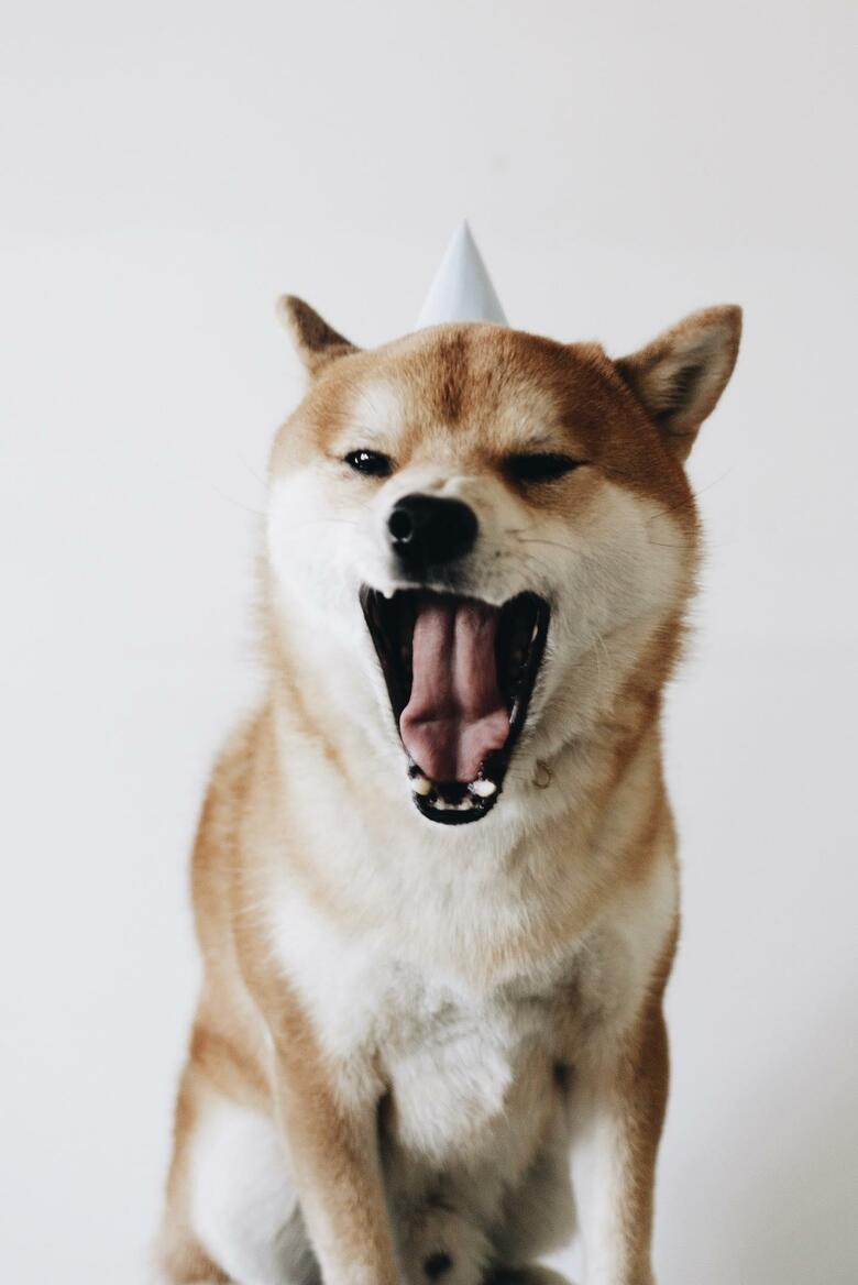 提供：エイトデザイン