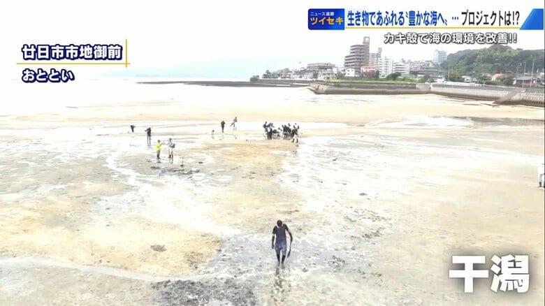 9月20日、廿日市市地御前の干潟で開かれた観察会