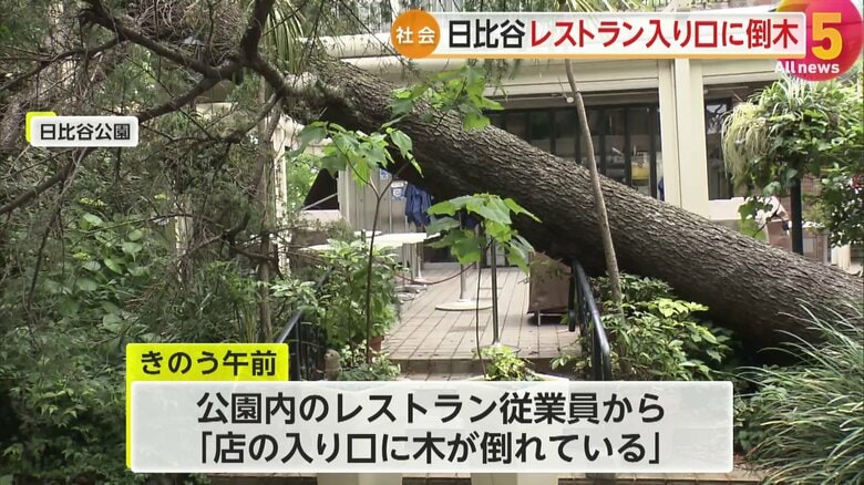 奥に入口が見える。けが人はいなかった