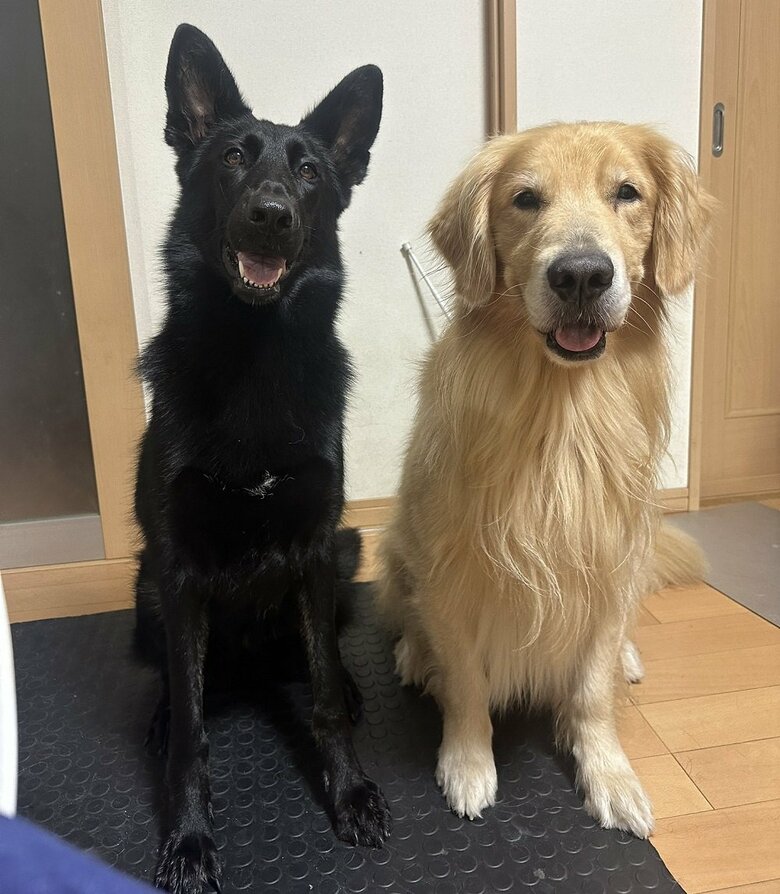 左：ひじきちゃん　右：がんもくん