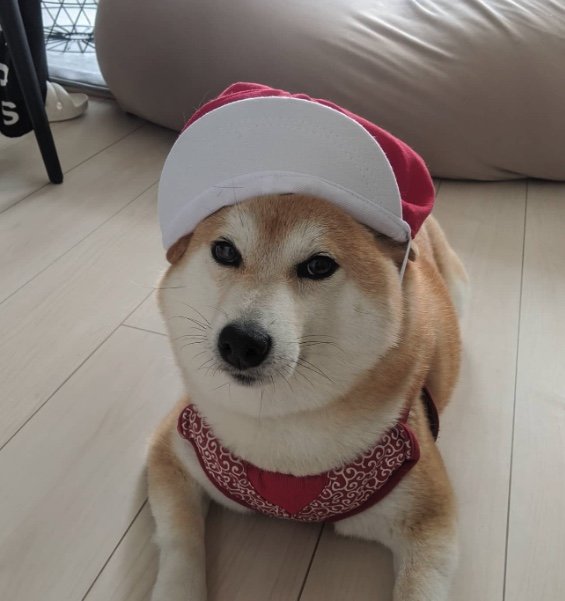 提供：natsumi.nnnさん