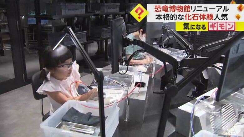 化石研究体験のコーナー