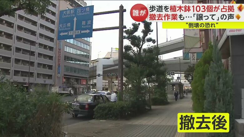 撤去後。車道の見通しがよくなり、本来の街路樹も存在感アップ