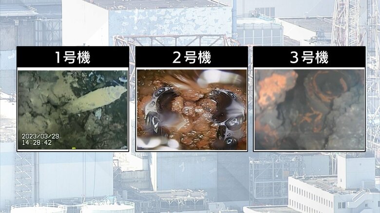 燃料デブリとみられる堆積物の量が２・３号機に比べ多い